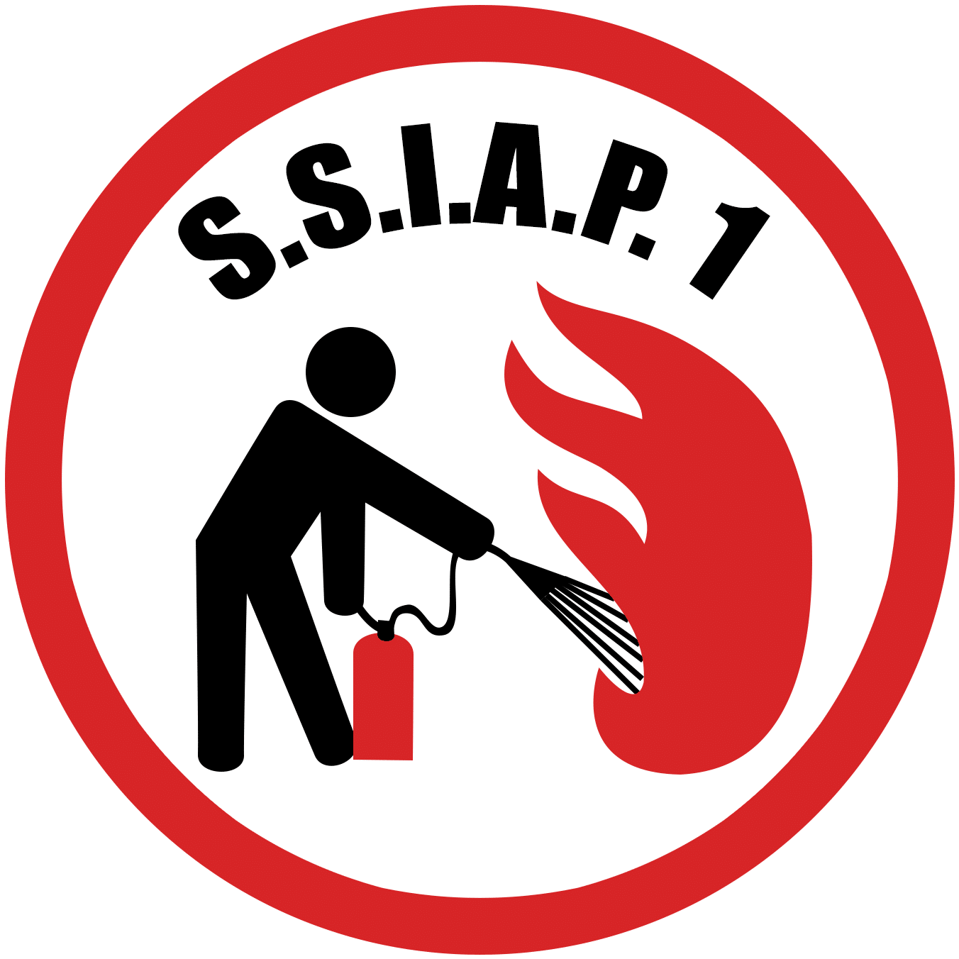 logo formation ssiap 1